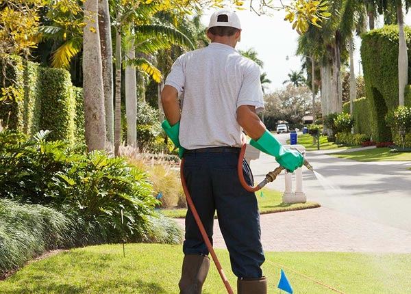 About New Hyde Park NY Pest Control